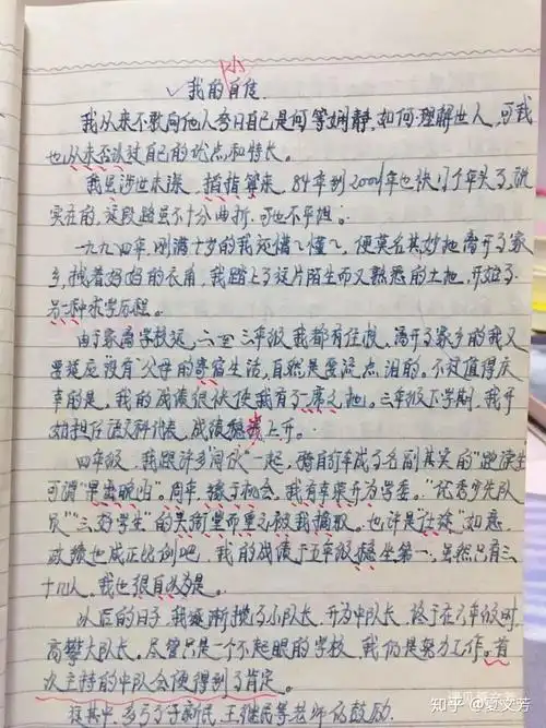 17岁那一年我写了一篇自传