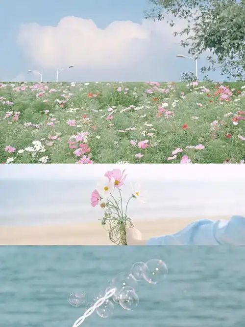 电影感文艺日系胶片盐系滤镜78生活随手拍