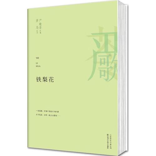 铁梨花【正版图书,放心购买】