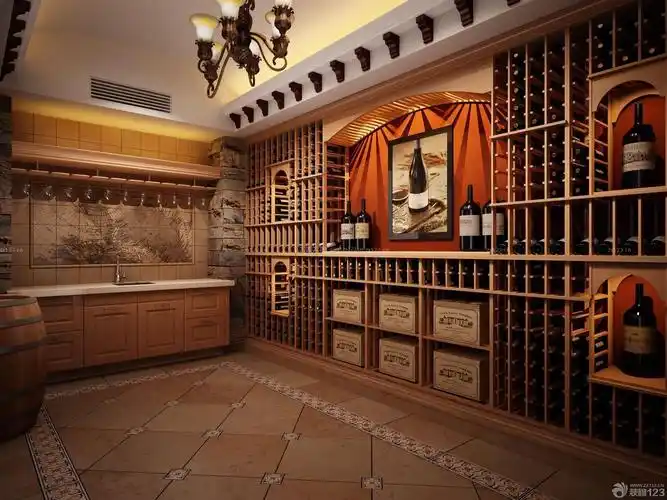 别墅酒窖置物架设计装修效果图片