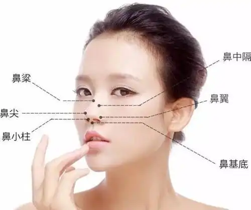 鼻小柱与鼻翼交界处的鼻孔缘内侧形成约0.