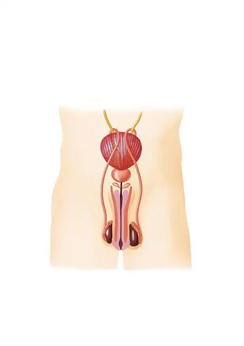 如何使用贝壳网教学资源