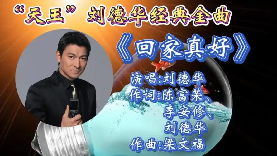 怀旧金曲《回家真好》刘德华深情演绎,歌词走心,优美旋律让人陶醉!