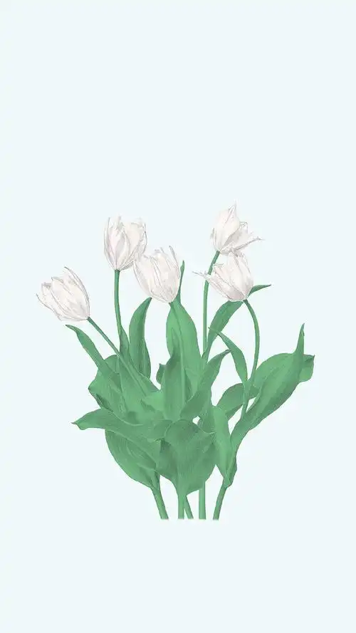 小清新日系插画图片手机壁纸