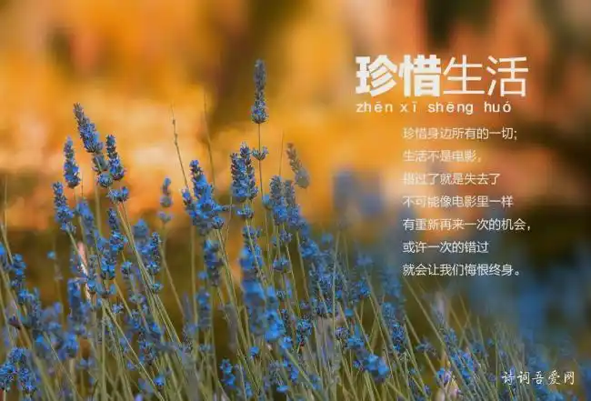 珍惜拥有简体繁体手机版 学英语,学诗词(14)