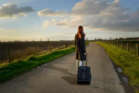 人捧着杯茶坐在黄沙发上看着离家出走一只竹子的绿色离家出走离家出走