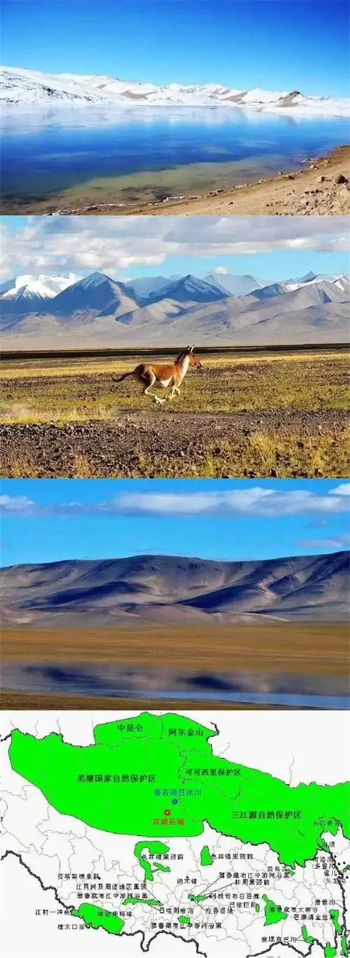你进过中国四大无人区吗去了羌塘无人区才知什么叫无人区