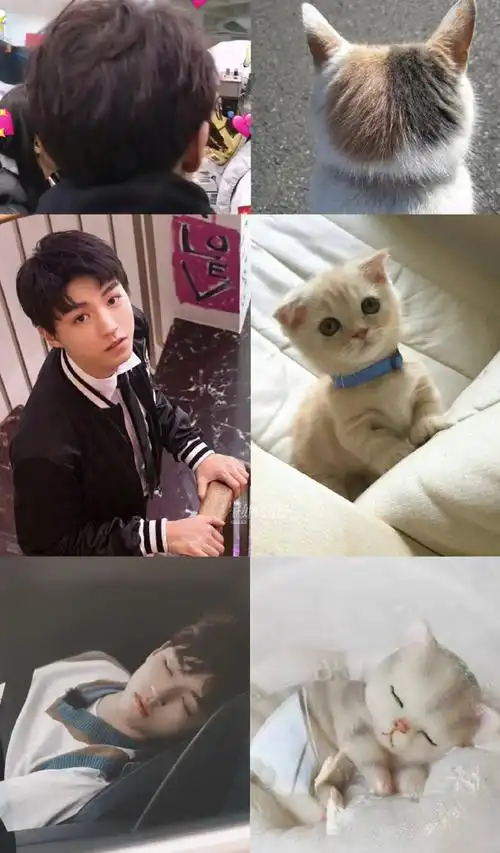 王俊凯坐姿好娇俏##王俊凯经纪人说他胖了##星姐微博