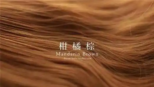 原创2019秋冬显白发色推荐显白棕色染发颜色大全_效果_咖啡色_暖色调