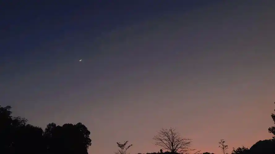 2020-2021 部分#1 - 堆糖,美图壁纸兴趣社区