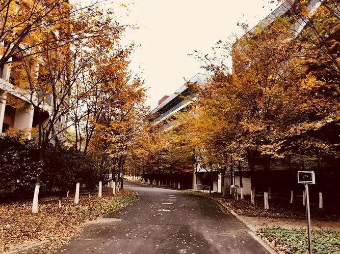 南大校园美景随手拍系列