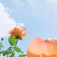 阳光下美景微信头像 唯美阳光景色头像图片【点击鼠标右键下载】