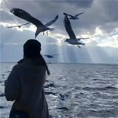 小仙女专属女生头像温柔好看 森系唯美文艺女生头像_女生头像_美头网