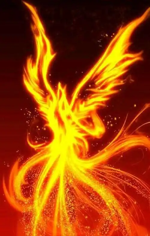 凤凰啊,我与你订下契约,为了消灭异端而战斗!fff团必胜!