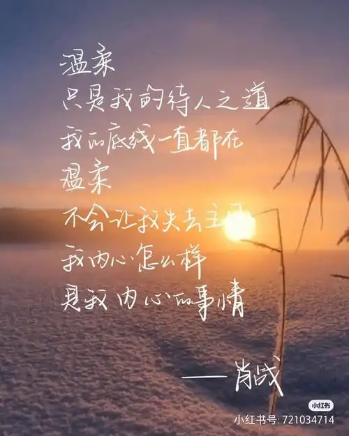 肖战名言第九弹