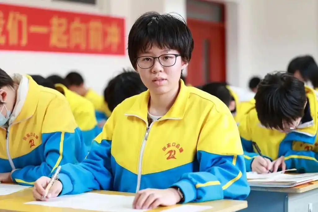 启臻|初二年级"启臻好少年"优秀学生风采展示(二)