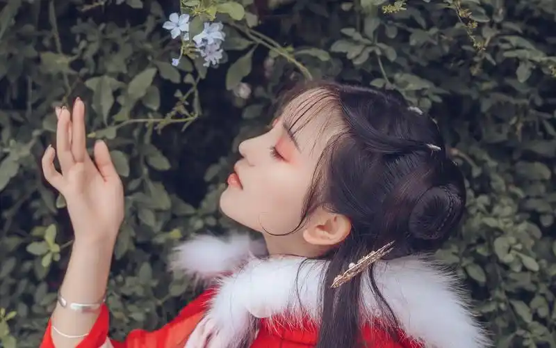 古装汉服美女古风唯美写真