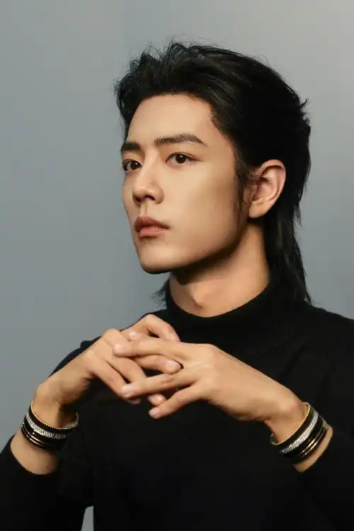 肖战长发侧颜库存