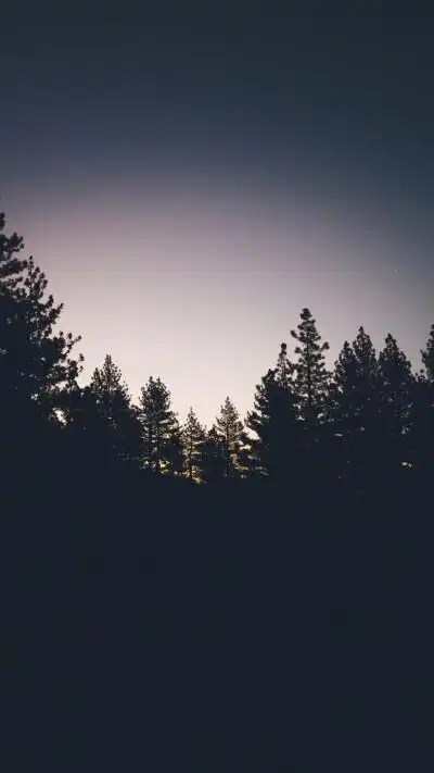 黑白 街头 意境 nike 潮流 纹身 手机壁纸 头像 封面 无水印高清图片