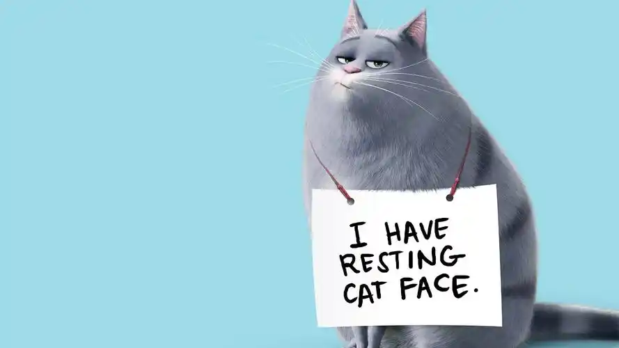 可爱卡通猫咪图片高清桌面壁纸