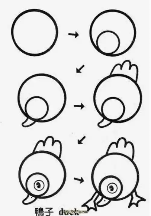 小鸭子简笔画大全-红豆饭小学生简笔画大全