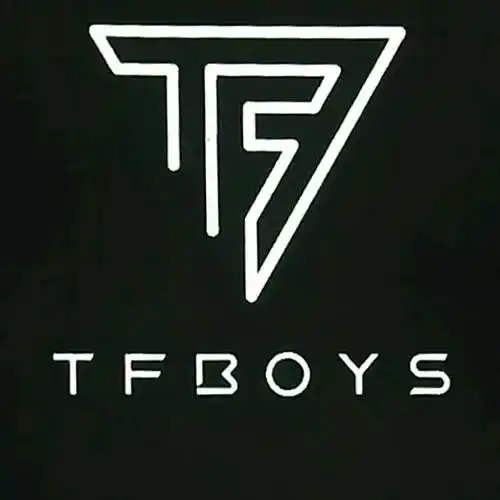 tfboys新logo