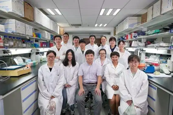 为啥男性癌症发病率高,女性多发自身免疫性疾病?上海科学家发现雄激素