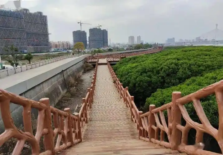 快看原来龙港有这么多网红打卡地