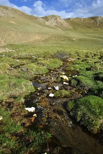 力,由于内部和外部水冰收缩和扩展的程度不多,就形成了高山草甸土疙瘩