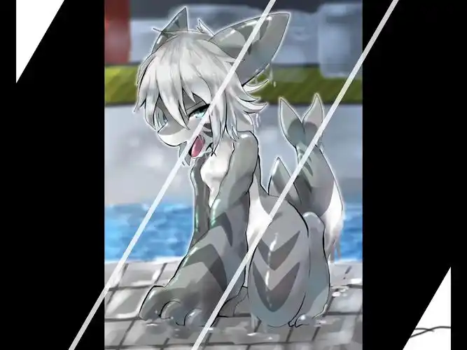 喵鲨和乌贼犬的甜图