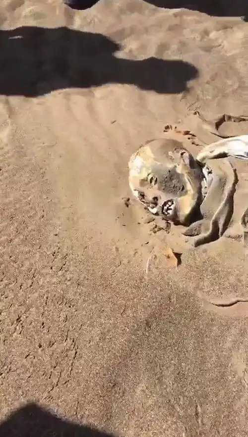 无人区惊现干尸,户外团队预计其死于5年内,独自穿越西藏有多可怕?