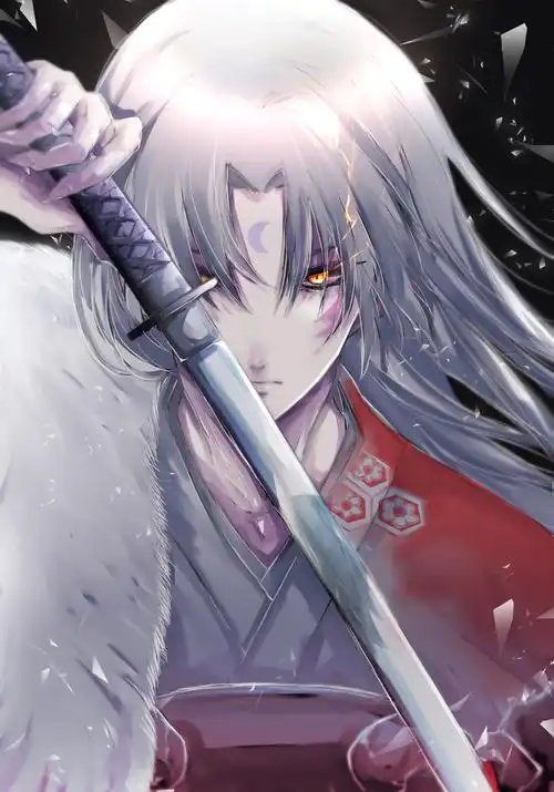 杀戮犬夜叉半妖の夜叉姫