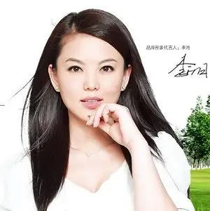 李湘代言,李湘经纪人
