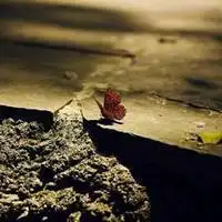 表示放下一切的微信头像【点击鼠标右键下载】