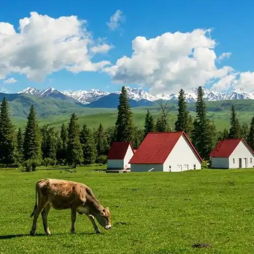 高山草甸小木屋_微信头像风景图片_扣扣居