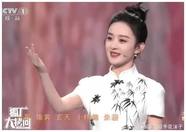 赵丽颖有个失散多年的的"孪生妹妹"?|景甜