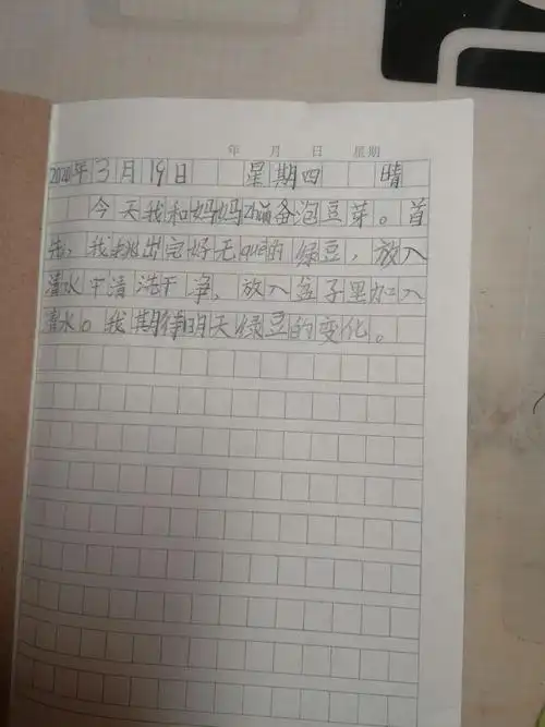 日记《豆芽成长记》