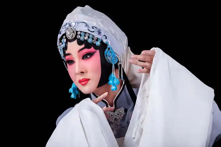 第九场 黄梅戏《罗帕记》 程丞 演出单位:湖北省戏曲艺术剧院 演出