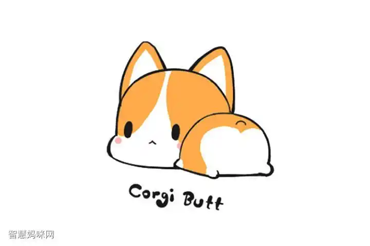 委屈的柯基小狗简笔画画法步骤