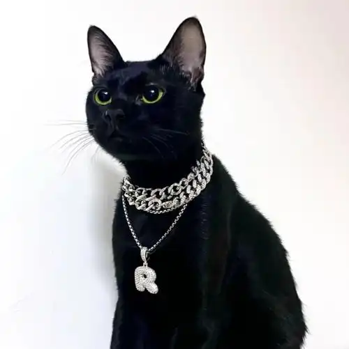 黑猫头像 猫咪头像 朋克暗黑风 小红书@欧玛喜苏