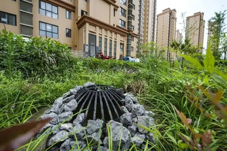 天福和园社区雨水花园