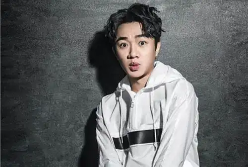 王祖蓝资料个人资料 关于王祖蓝的简介