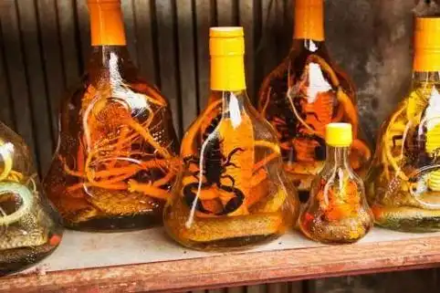 疯狂的外星人里外星人被泡酒药酒还真不能随便泡否则后果很严重