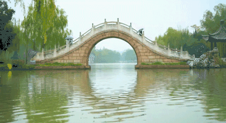 444_241gif 动态图 动图