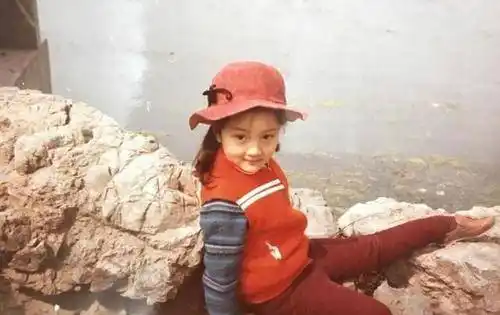 原创你好李焕英30亿贾玲背后最大金主曝光怪不得如此成功