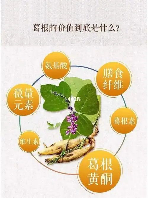 葛根的价值到底是什么71来看看功效吧75