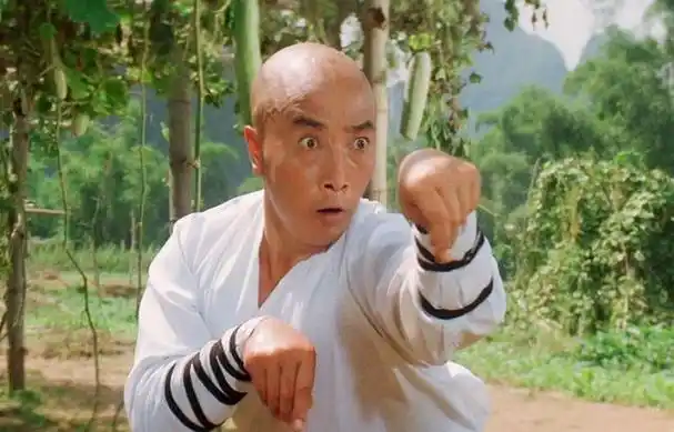 太极宗师26年演员现状有人身盖党旗下葬7位退圈4位去世