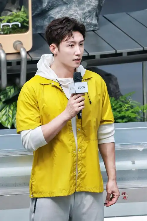 黄景瑜ecco代言人