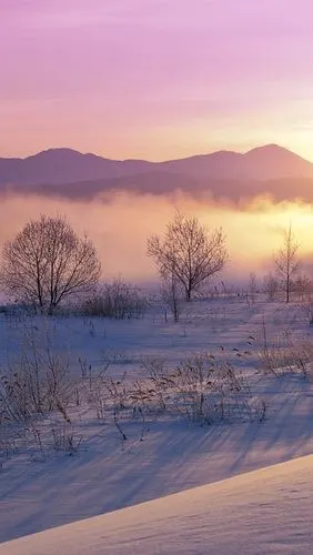 日本冬季大自然黄昏雪景 iphone 壁纸