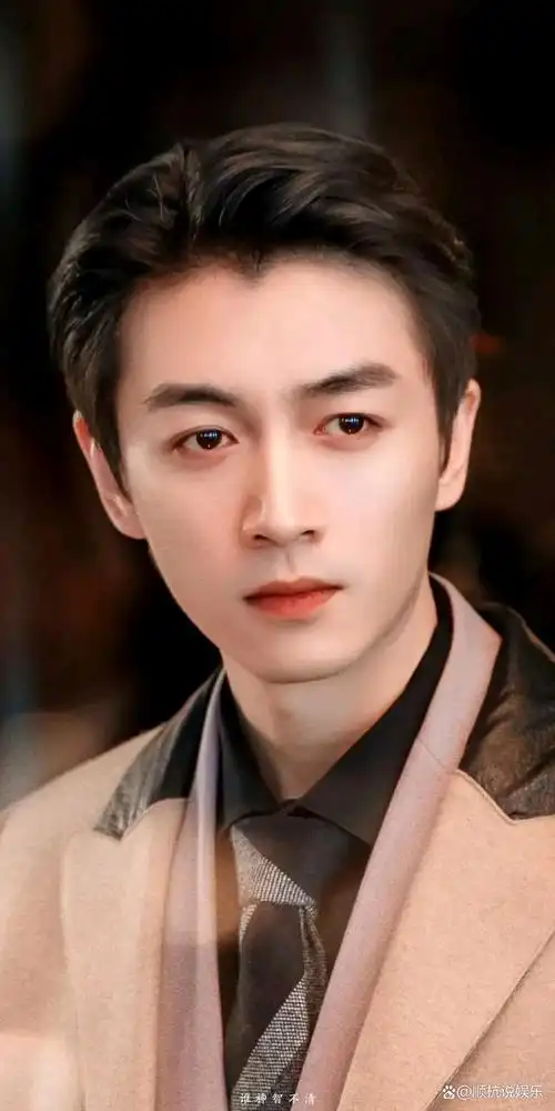 陈晓的眼睛真的非常迷人,自从看到陈晓,我终于明白了古言小说中的"